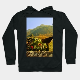 Vaduz, Liechtenstein Hoodie